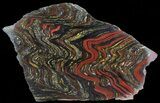 Polished Tiger Iron Stromatolite - ( Billion Years) #65356-2